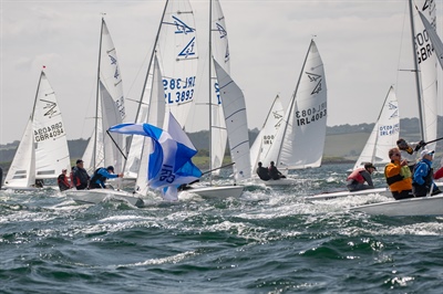 Willowbrook Organic Island Farm Flying Fifteen British Isles Championships 2024 at Strangford Lough YC