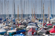 12MW2019 Roman 190725 1214LR.jpg